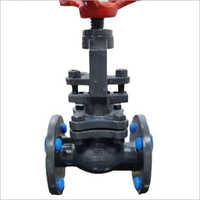 SS Flanged Valves