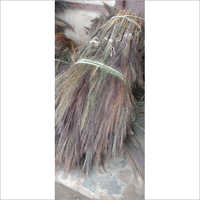 Grade Broom Grass