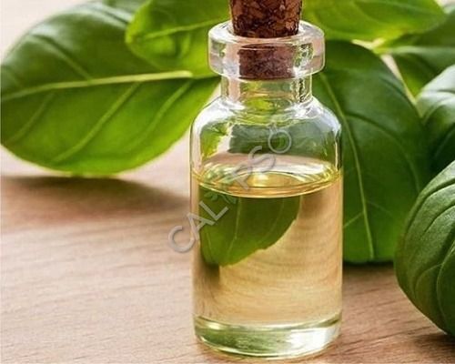 Basil Essential Oils