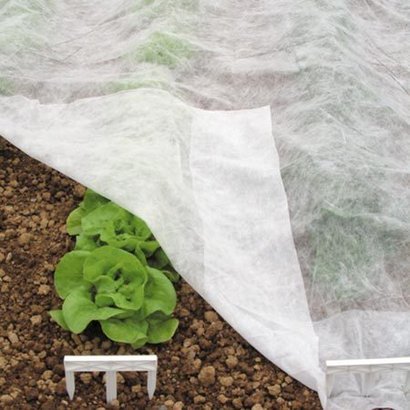 Non Woven Fabrics for Agriculture Crop Cover