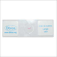 Human Histology Slides