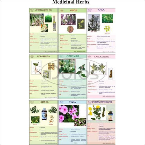 Medicinal Herbs Chart