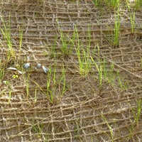 Jute Soil Saver Netting