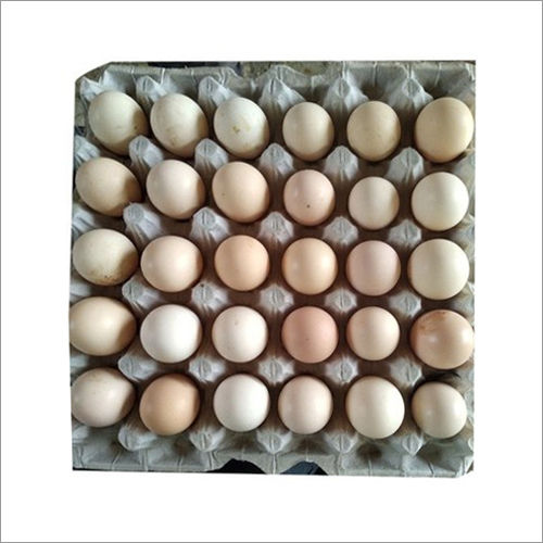 Brown Kadaknath Chicken Egg