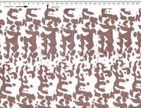 Poplin Natural Printed Organic Cotton Fabric