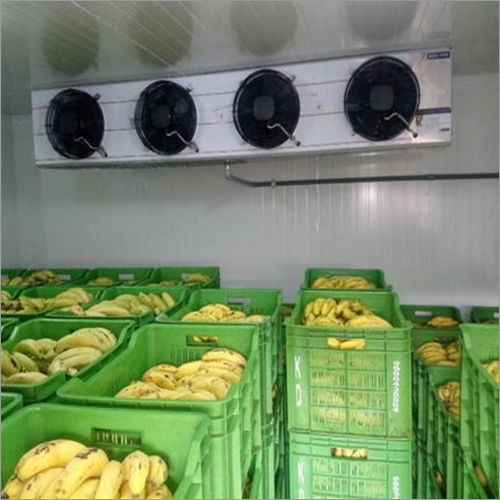 Semi Automatic Banana Ripening Chamber