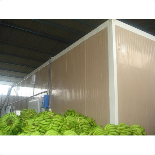 Semi Automatic Banana Ripening Chamber