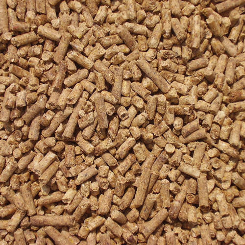 Cattle Feed