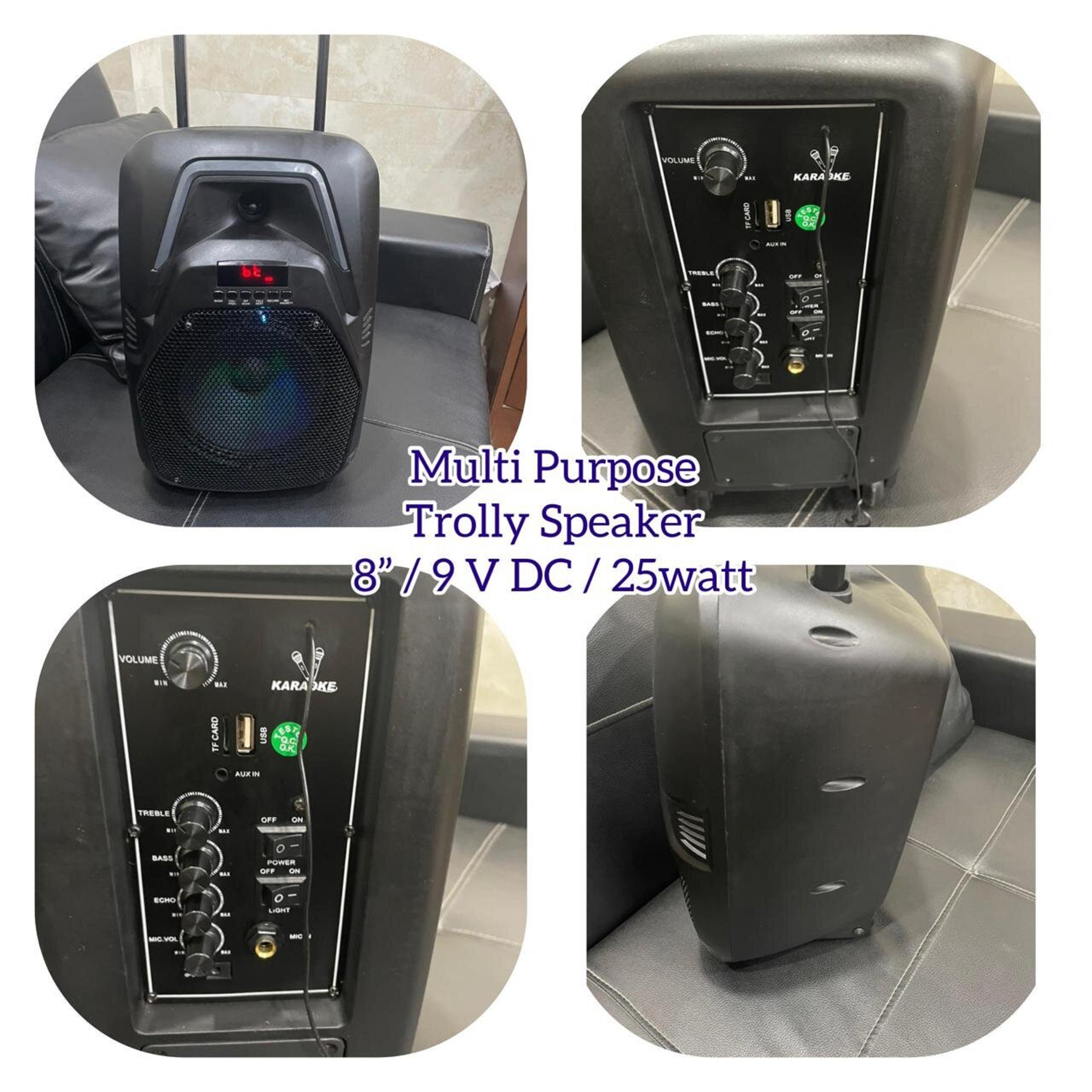 Wall Speaker