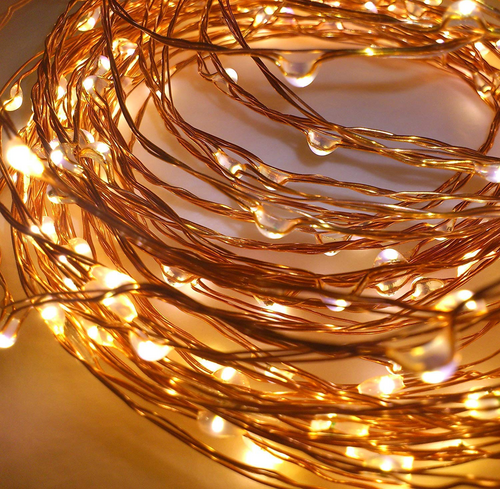 5 mtr Copper String Battery Operated Portable Decorative Fairy Light - Warm White