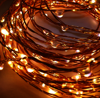 LED String Light