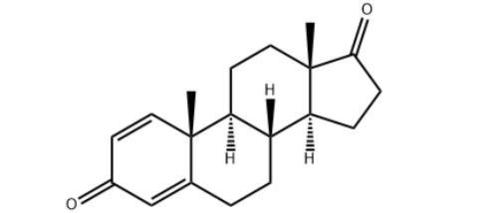 Androstadienedione (Androstadiendione)