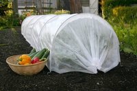 Non Woven Crop Cover