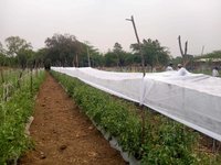 Non Woven Crop Cover