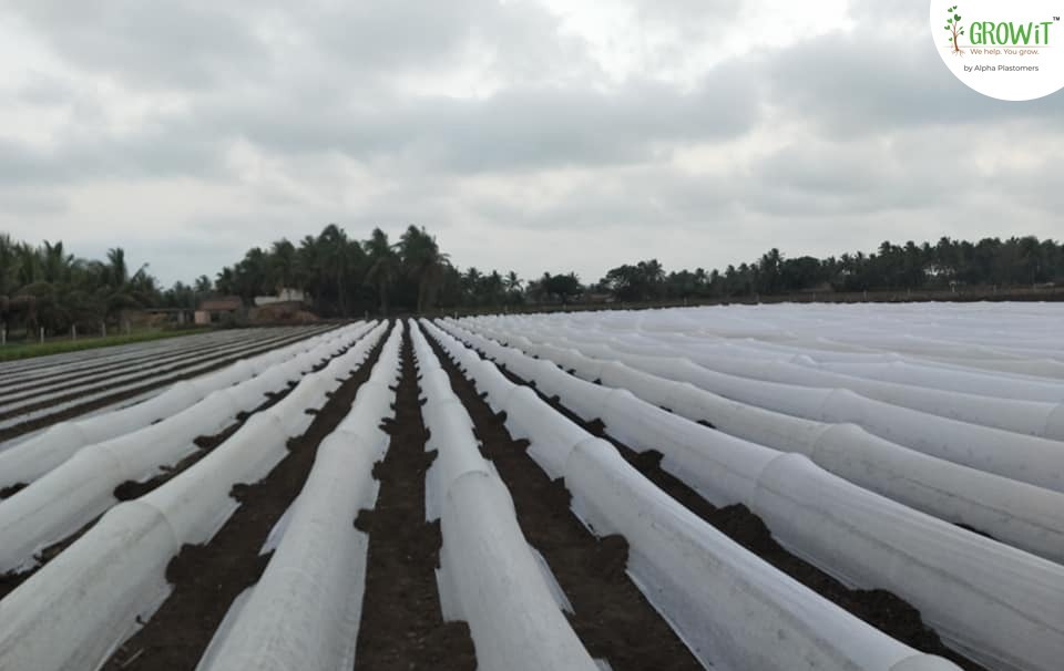 Non Woven Crop Cover