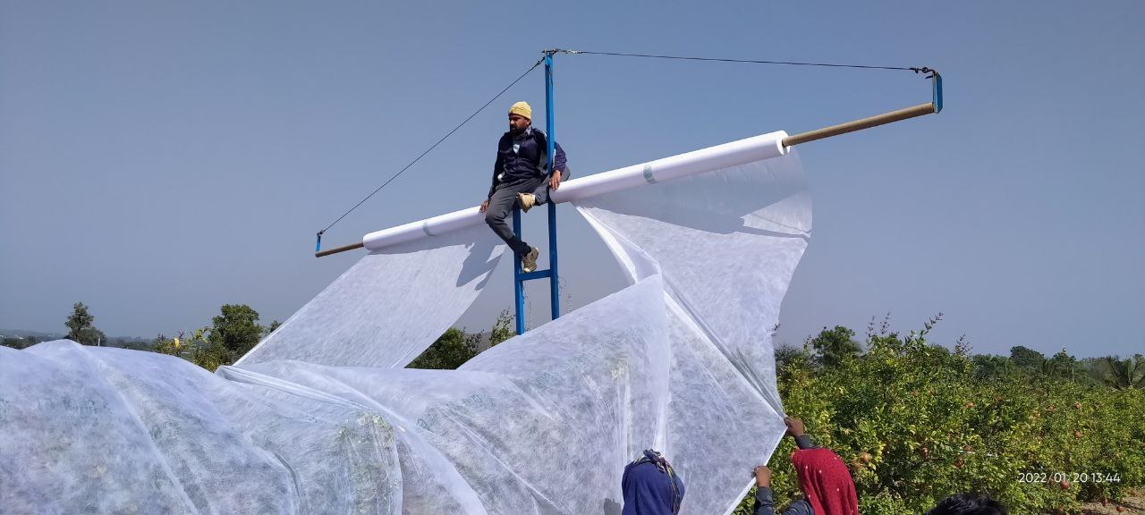 Non Woven Pomegranate Tree Cover