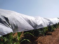 Non Woven Pomegranate Tree Cover