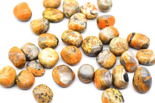 Bumble Bee Jasper Tumble