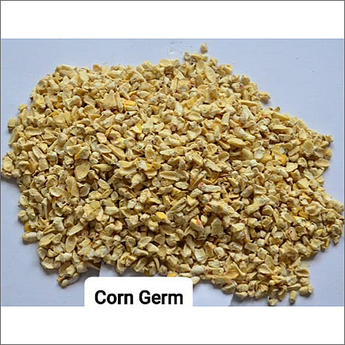 Fresh Corn Germ Moisture (%): Nil