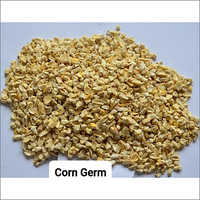 Fresh Corn Germ Moisture (%): Nil