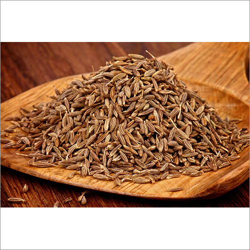 Common Fresh Cumin Seeds