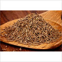 Fresh Cumin Seeds