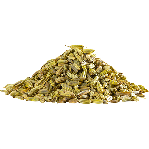 Fresh Fennel Seeds Moisture (%): Nil