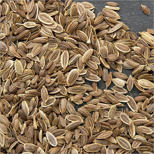 Fresh Dill Seeds Moisture (%): Nil