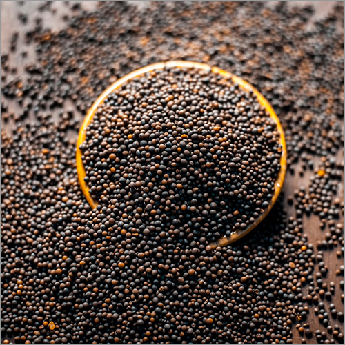 Fresh Mustard Seeds