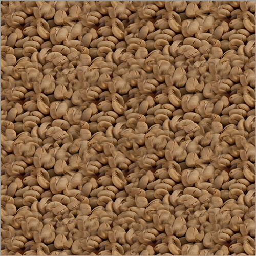 Robusta Coffee Beans