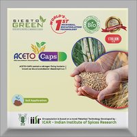Nitrogen Fixing Bacteria Soil Application