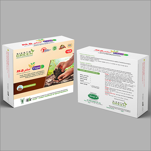 Poshphate Solubilising Becteria Soil Application