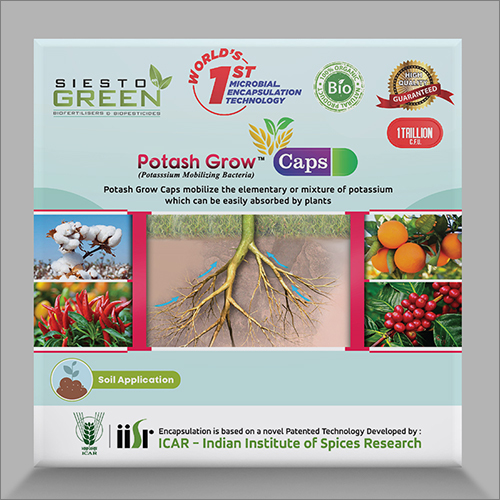 Potassium Mobilizing Becteria Soil Application