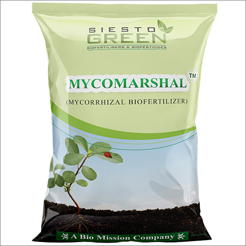 Mycorrhizal Biofertilizer