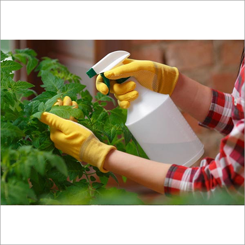 Neem Insecticide