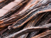 vanilla beans