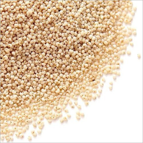 Poppy Seed