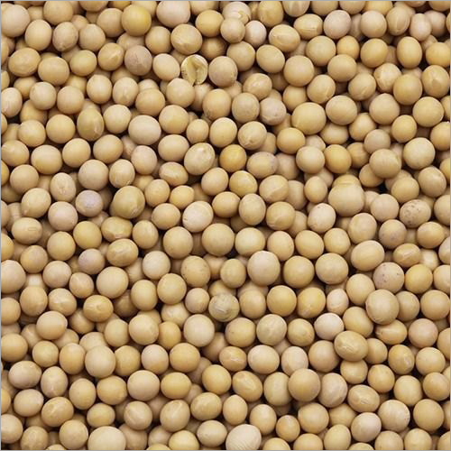 Soybean Seed By MUKHI OVERSEAS