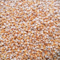 Organic Yellow Maize