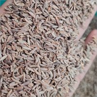 Whole Cumin Seed