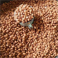 Whole Groundnut Seed