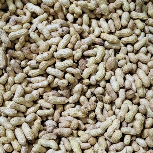 Organic Raw Groundnut Grade: A at Best Price in Cooch Behar | R.n.d ...