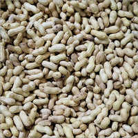 Organic Raw Groundnut