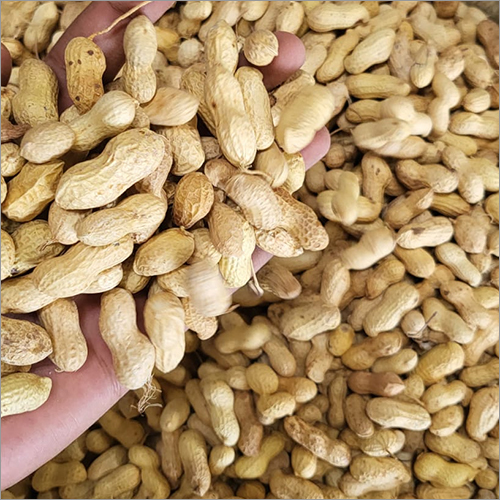 Organic Whole Groundnut
