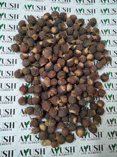 Sapindus Seeds