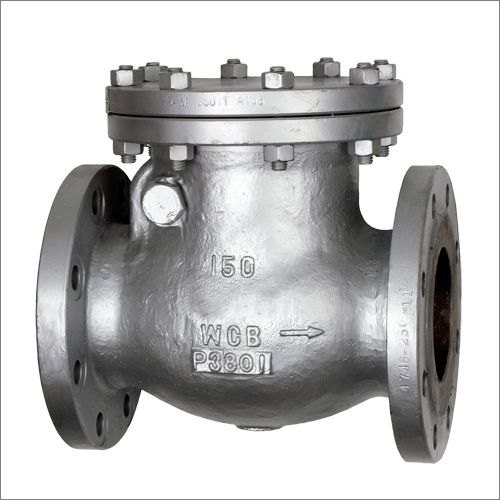 Swing Check Valve