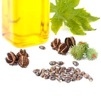 Blown Castor Oil