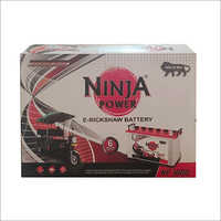 Np-1800 E-rickshaw Battery