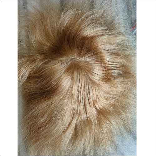 Blonde Hair Wig at Best Price in Howrah, West Bengal | Sky Hair Fixing Centre Blonde Hair Wig at Best Price in Howrah, West Bengal | Sky Hair Fixing Centre