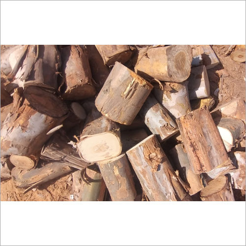 Safeda Fire Wood Chips Grade: Commercial